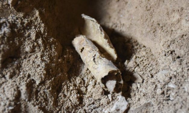 Bibliai tekercseket találtak a Júdeai-sivatag egyik barlangjában
