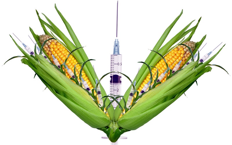 Baloldali program: GMO és termelőszövetkezet