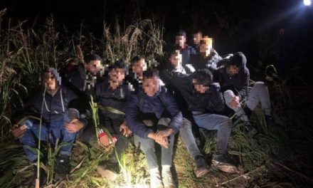 Sok migránst fogtak el a rendőrök szombat hajnalban