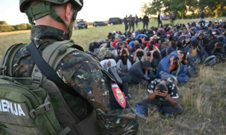 A migránsok támadnak Délvidéken, keményített a szerb rendőrség