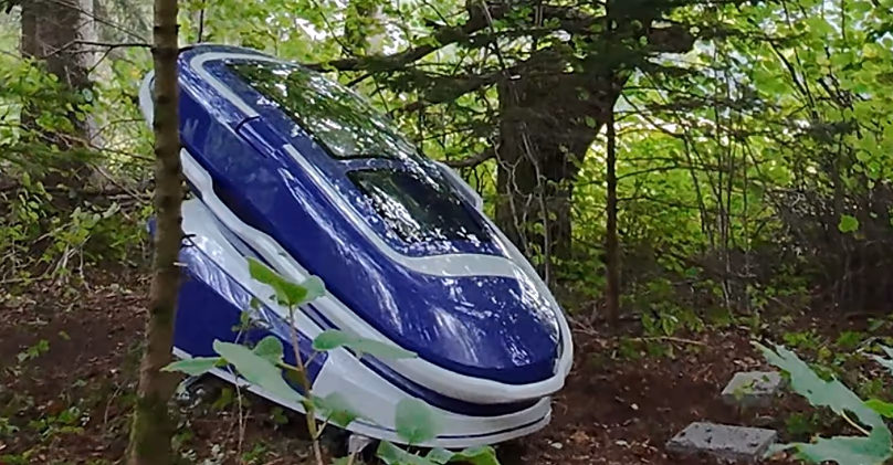 Egy Sarco pod egy erdőben fényképezett