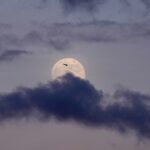 A NASA kigurítja az Artemis II rakétát történelmi Hold-misszióhoz