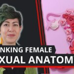 A hüvelytől a csiklóig: Az orvosi világ végre abbahagyta a női testek figyelmen kívül hagyását?