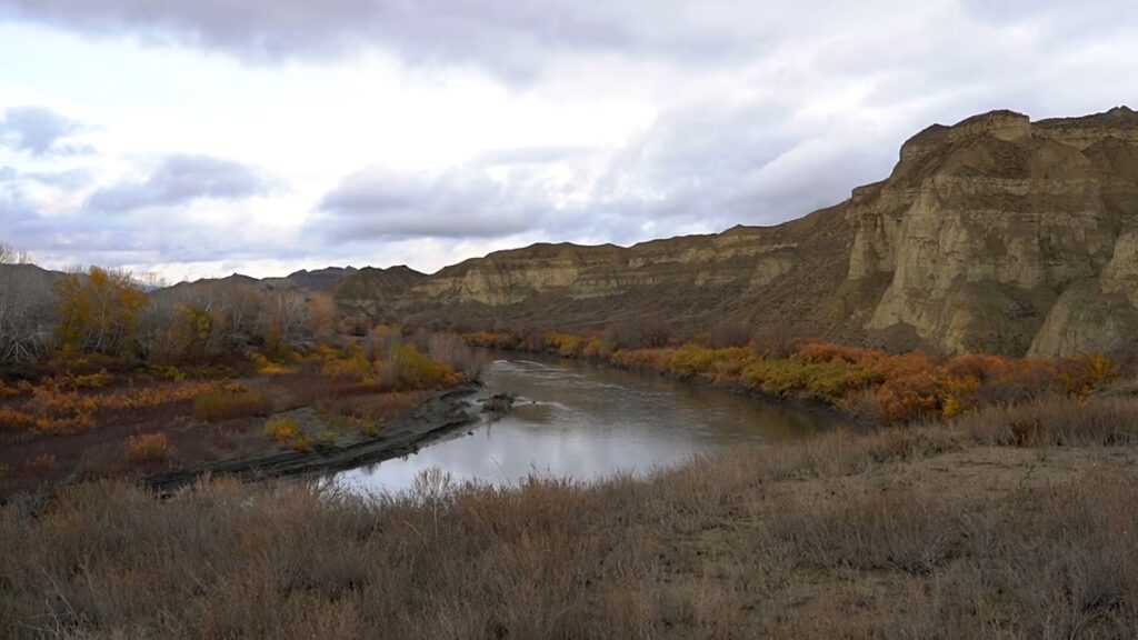„A természetnek cselekvésre van szüksége, nem csak vitára” – mondja az IDEA nemzetközi kampány alapítója