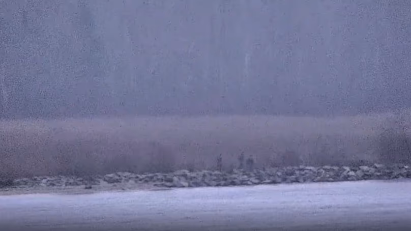 Az észt külügyminisztérium megosztott egy videoklipet, amelyen orosz határőrök láthatók a NATO területén.