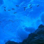 A nyílt tengeri remények találkoznak a kemény valósággal: 2026 a világ óceánjai számára kulcsfontosságú év lesz