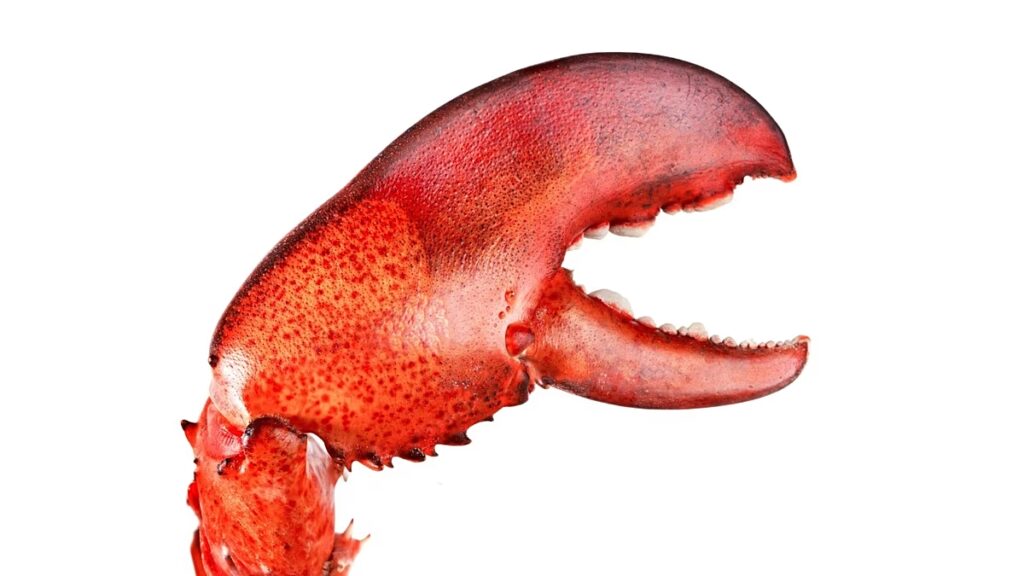 A vírusos OpenClaw osztrák megalkotója csatlakozik az OpenAI-hez, hogy megépítse az AI-ügynökök „következő generációját”