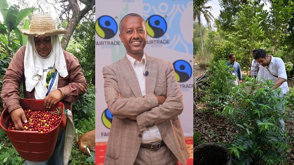 Ismerje meg a küszködő kávétermesztőket, akiknek termését fenyegeti a fosszilis tüzelésű felmelegedés