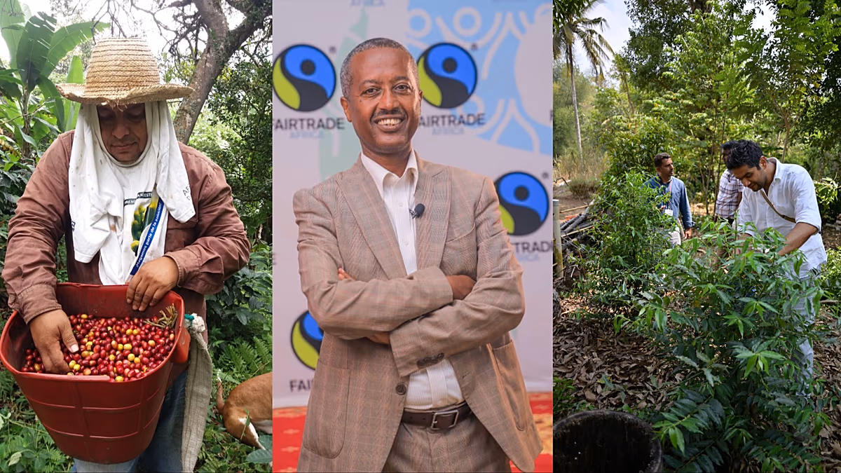 Ismerje meg a küszködő kávétermesztőket, akiknek termését fenyegeti a fosszilis tüzelésű felmelegedés