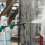 Ragadós száj- és körömfájás: Sürgősségi intézkedések Cipruson az állattenyésztők kétségbeesésében