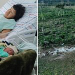 „Remény az őslakosok számára”: Egy váratlan születés visszahozhatja ezt az Amazonas törzset a pereméről