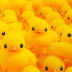 A DMA csirke vagy kacsa? Miért predesztinálja a DMA az európai vállalatokat és fogyasztókat vesztésre?