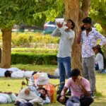 Egy tanulmány szerint, ha több fát ültetnénk a városokban, 1,1 millió életet menthetett volna meg két évtized alatt