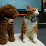 Okostelefonok házi kedvenceknek? Ezzel a hordható eszközzel házi kedvencei felhívhatják Önt, ha figyelemre van szükségük