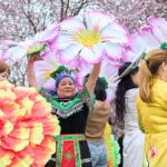 A berlini Cseresznyevirág Fesztivál idén tavasszal sok turistát vonz