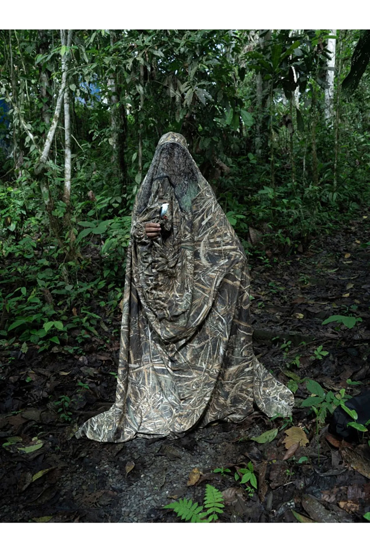 Isadora Romero „Megjegyzések az erdő építéséhez” (Környezet) 