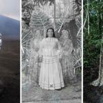 Több mint 430 000 nevezés később: a Sony World Photography Awards 2026 megkoronázza a győzteseit