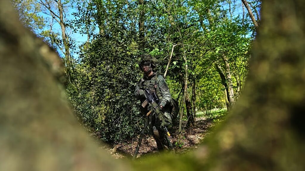 A királyi újoncok fellendítik az önkéntesek számát, miközben Hollandia kiépíti katonai tartalékosait