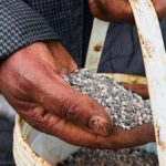 A közel-keleti feszültségek a második hónapja növelik a globális élelmiszerárakat