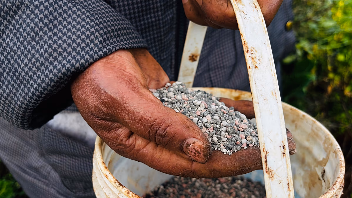 A közel-keleti feszültségek a második hónapja növelik a globális élelmiszerárakat
