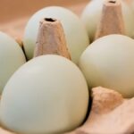 Megugrott a tojás ára Európában húsvét előtt: Mely országokban volt a legnagyobb emelkedés?