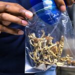 Trump parancsot ír alá a pszichedelikus szerek kutatásának felgyorsítására