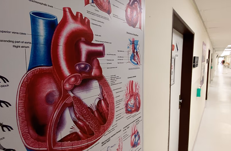 Évente mintegy 40 000 embernél diagnosztizálnak szívritmuszavart Csehországban