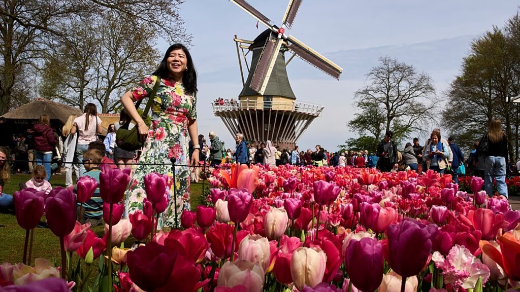 Hollandia Keukenhof világszerte látogatókat vonz a tavaszi kiállításra