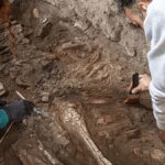 A pompeji ásatások lócsontvázat tártak fel a Szánalmas Szerelmesek Házában