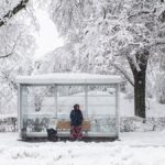 Busz a semmibe? A város a „Line Zero”-t küldi az utcákra