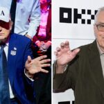 Robert De Nironak van egy négyszavas filmes utalása Donald Trumpra